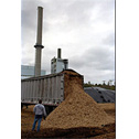 biomass plant